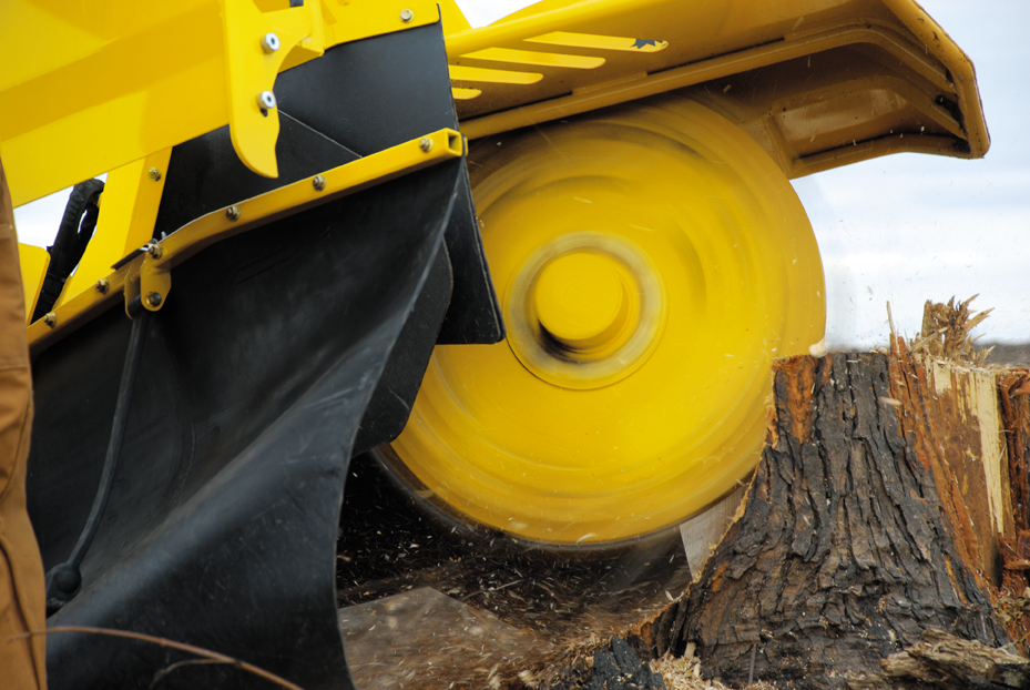 Regular care of important components, such as the stump cutter