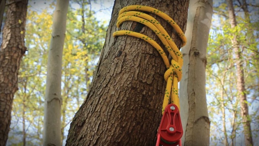 Sherrilltree Video Series Climbing Forces