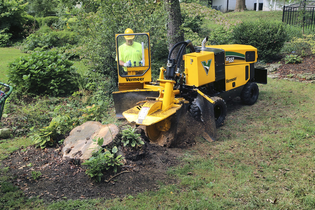 Tree Stump Cutter Rental
