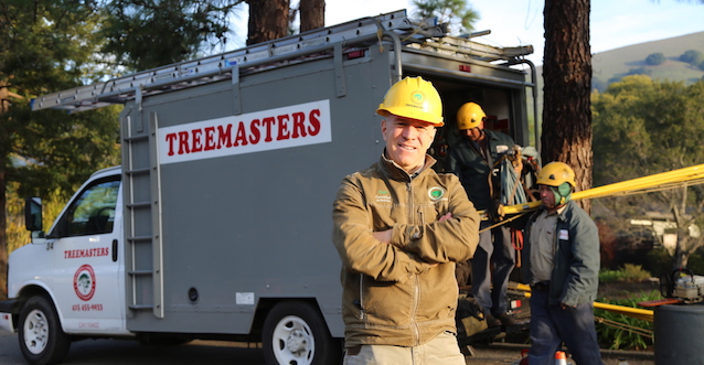 How to start your own tree care service company