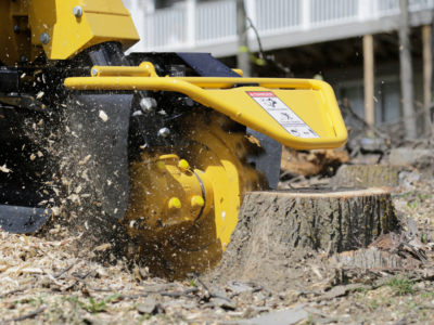 An action shot of a stump grinder removing a tree stump