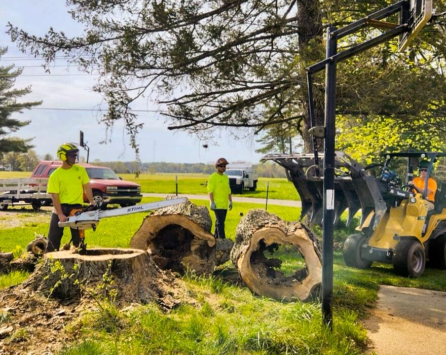 A jobsite with a fallen tree and an articulated loader