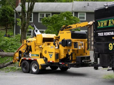 New England Tree Masters