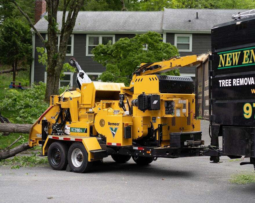 New England Tree Masters